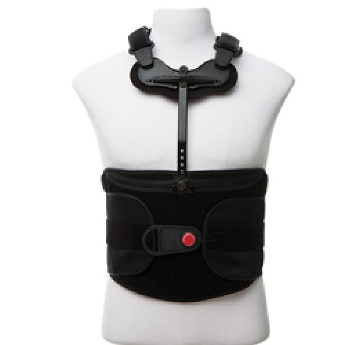  [Back] WN - T. L. S. O (New) 