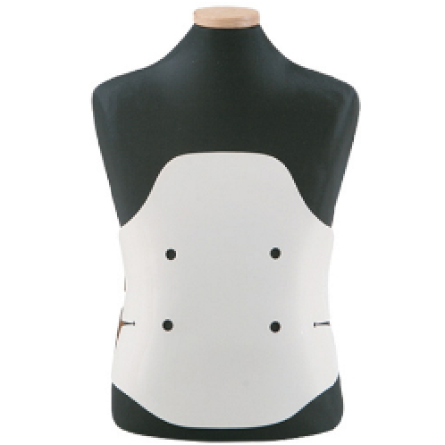  [Back] G3 T. L. S. O 